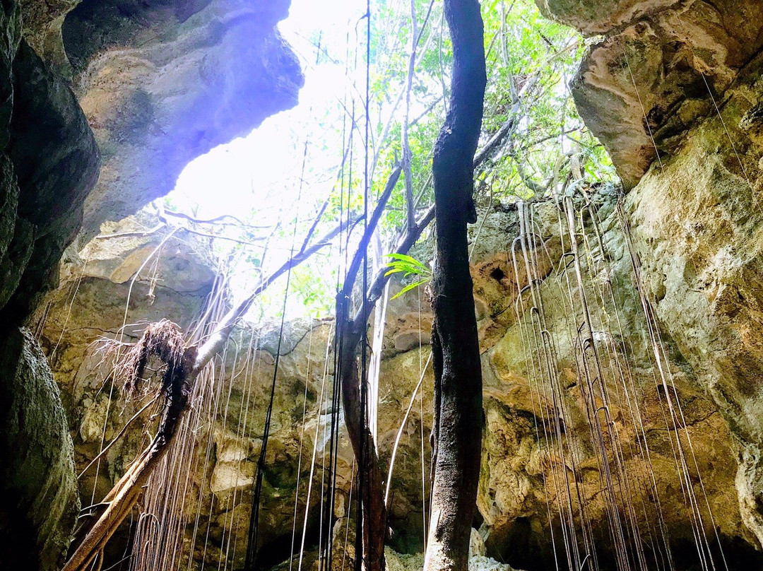 Cueva del Puente景点图片