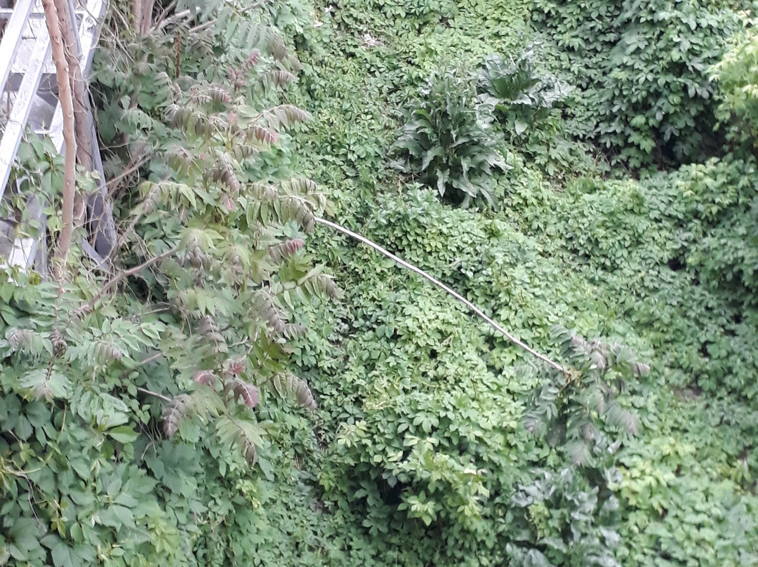 Majestic Hotel & Restaurant主图