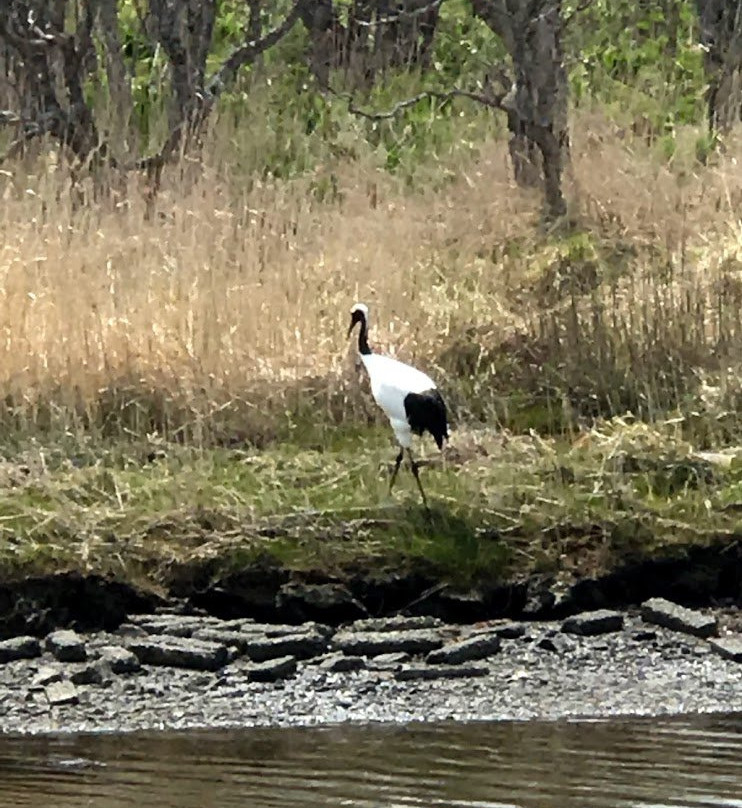 Lake Furen-别海町必去景点
