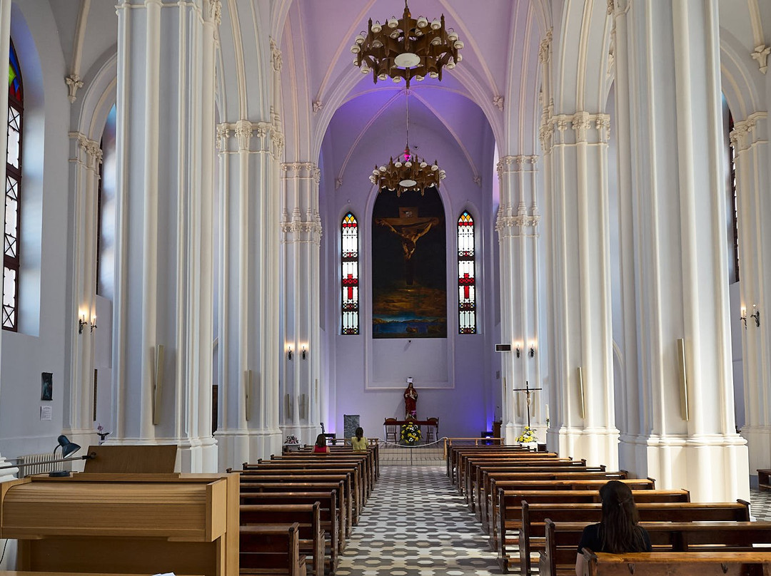 Roman Catholic Parish of the Sacred Heart of Jesus-萨马拉必去景点