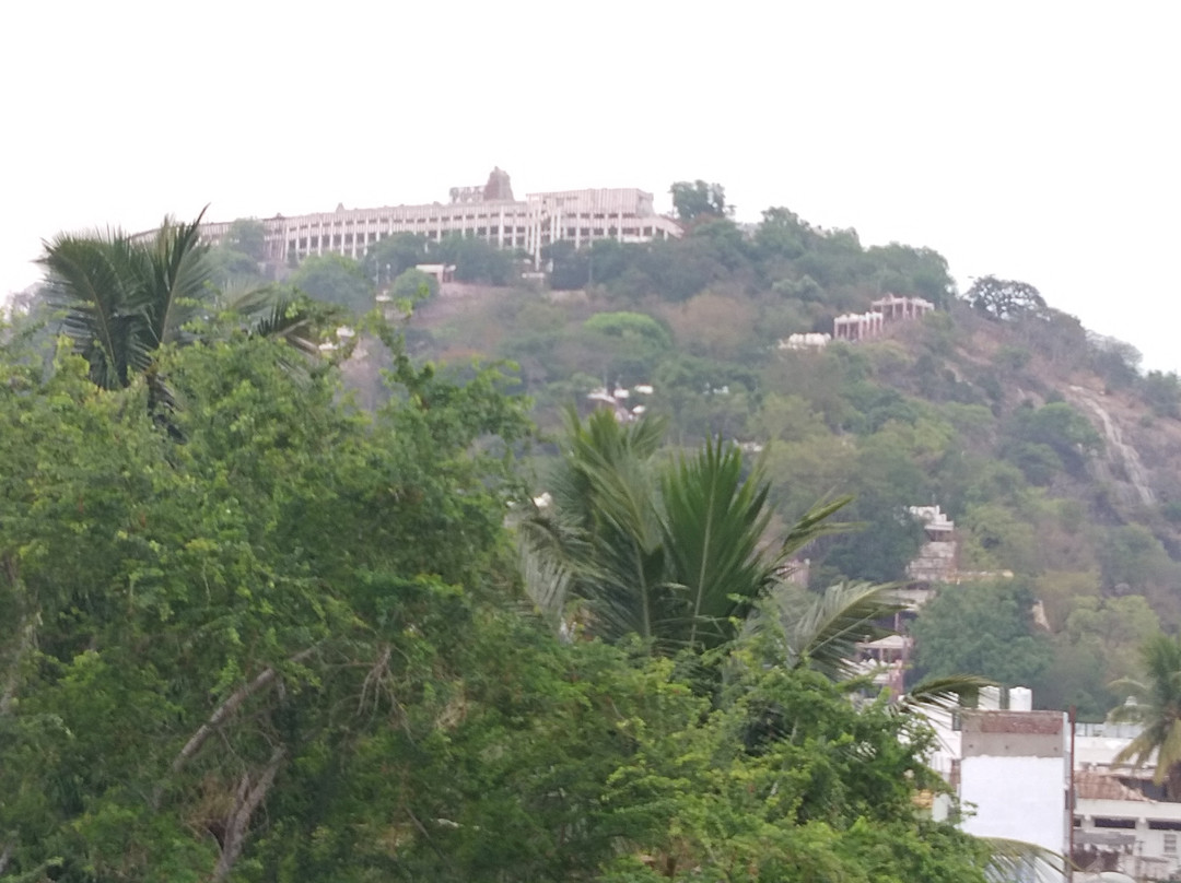 Pattiah Naidu Palace主图