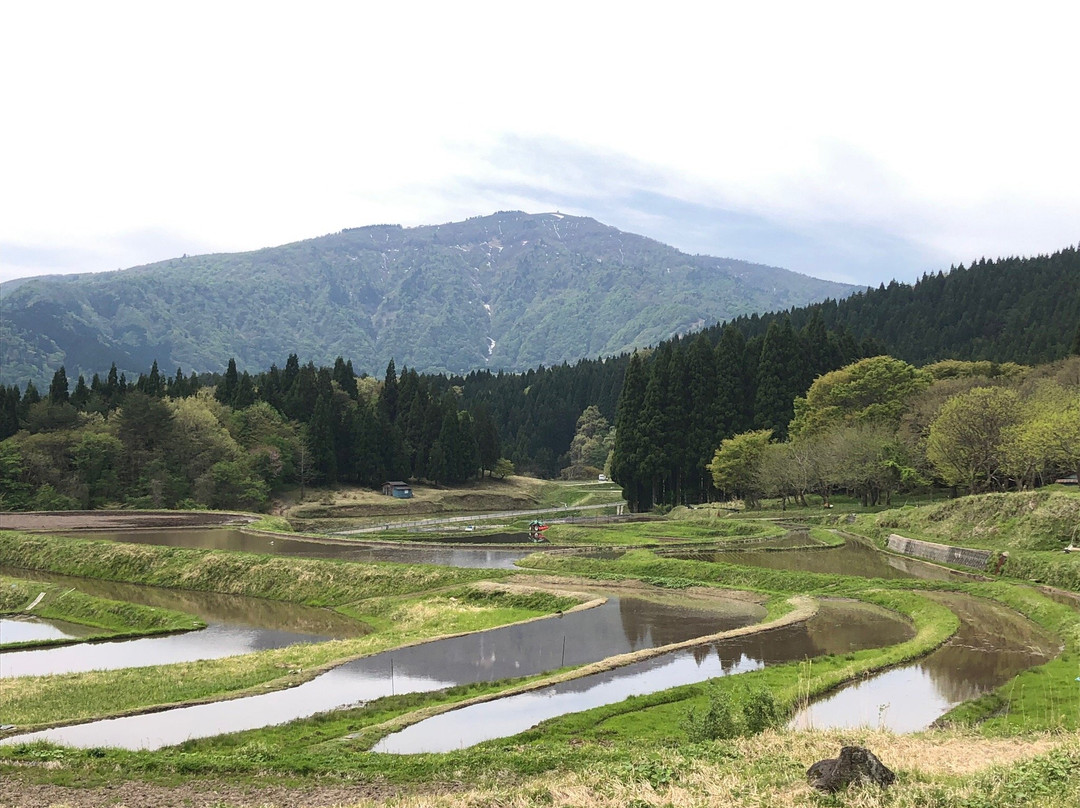 Mt. Hyono-养父市必去景点