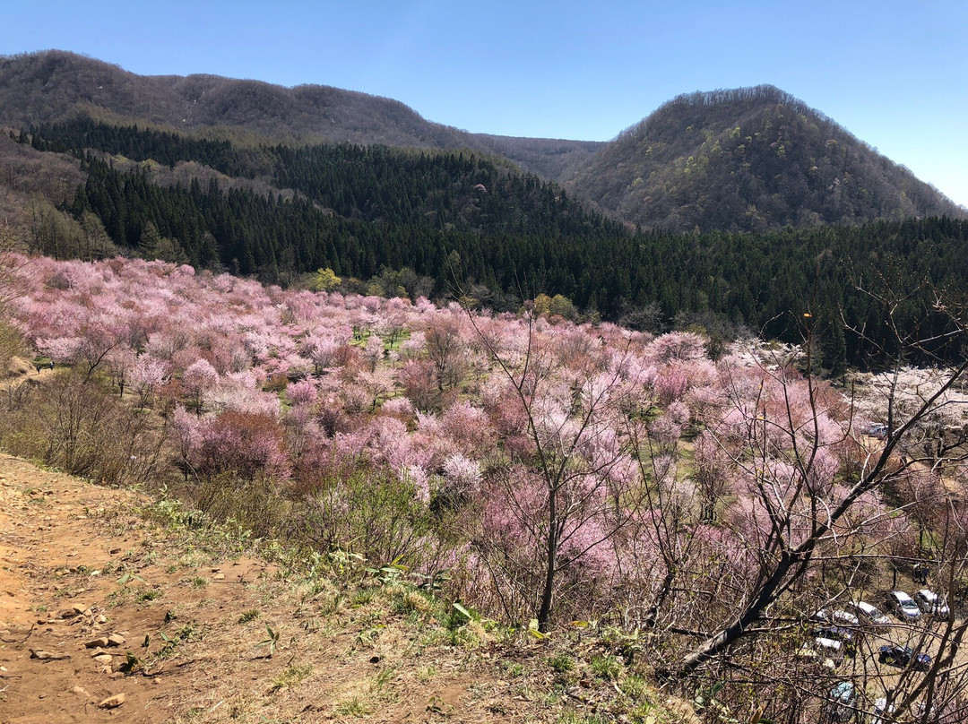 Sakura Pass-北盐原村必去景点
