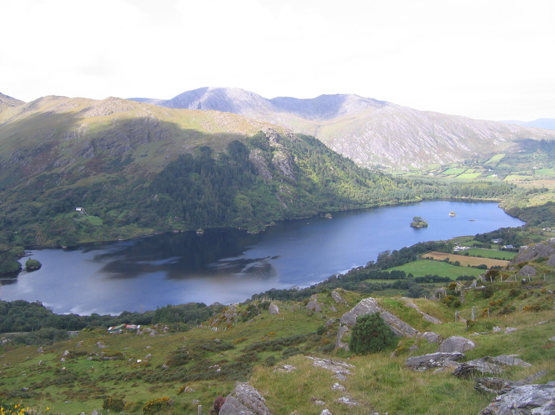 Bellatrix Bed and Breakfast for Women主图