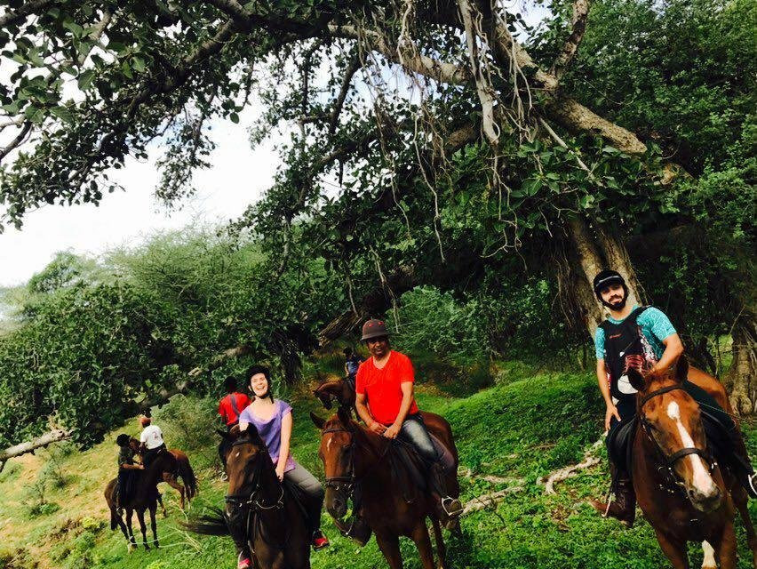 The Jaipur Village Horse Safari景点图片
