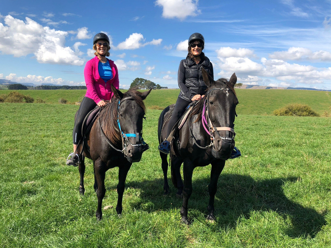 Surf & Turf Horse Riding Raglan-拉格伦必去景点