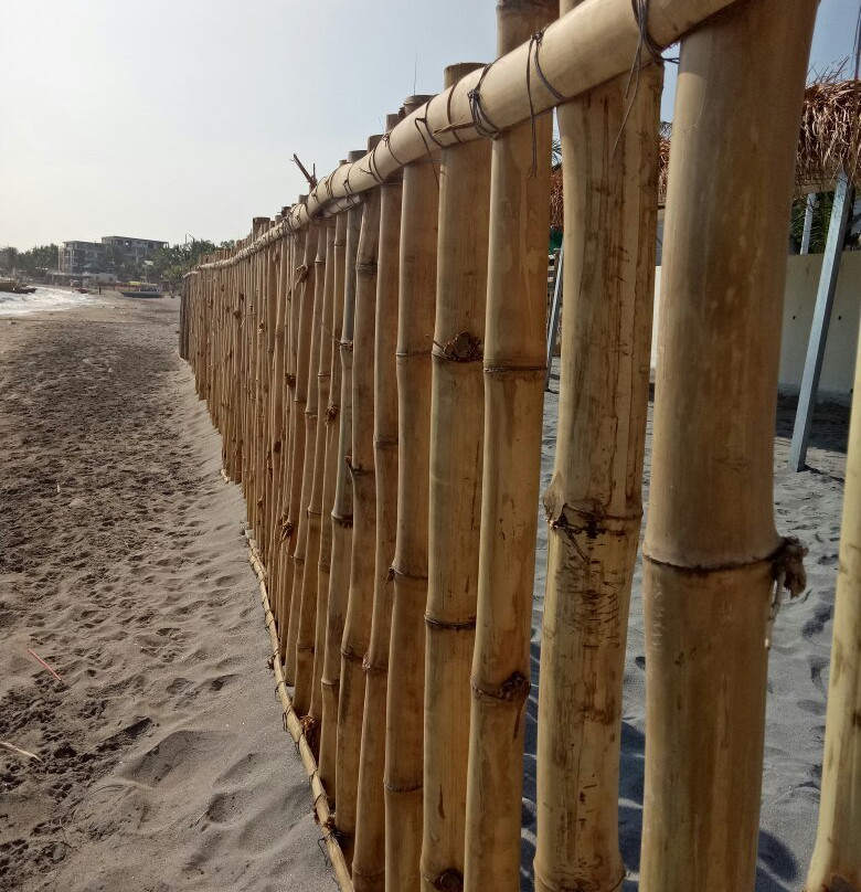 Island Waters Resort主图