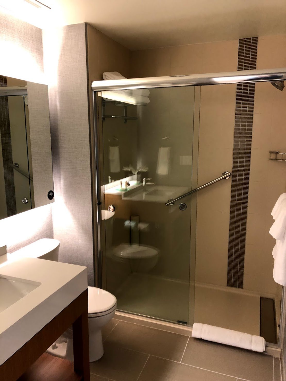 Hyatt Place Tampa Wesley Chapel-浴室