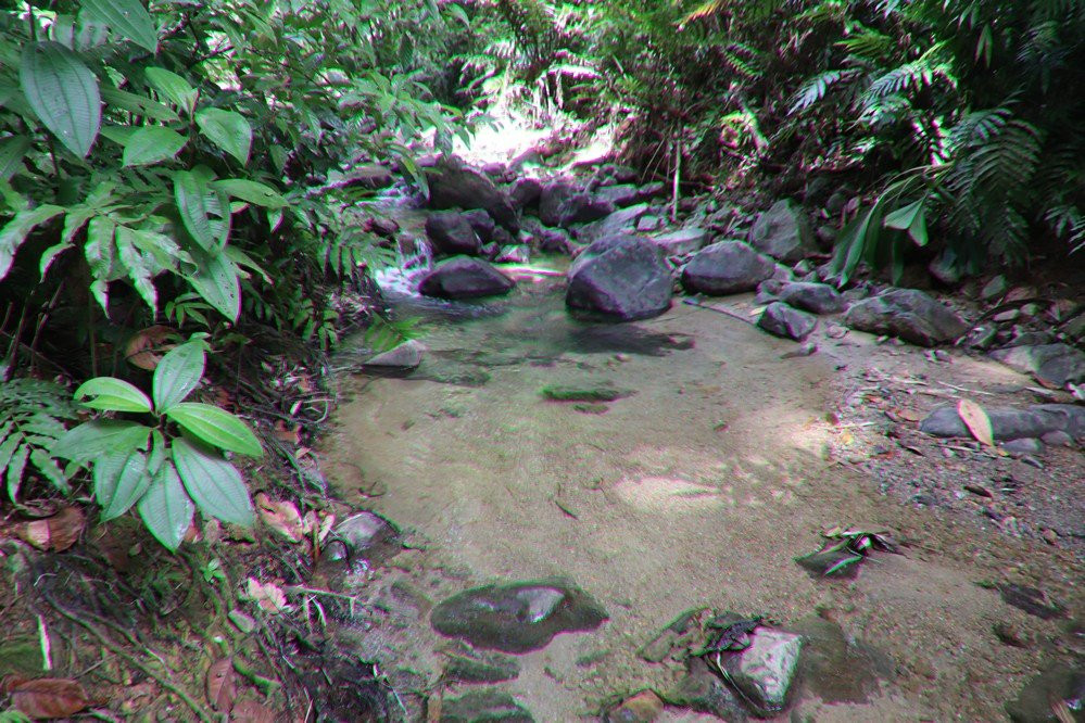 Randonnée de la Trace des Jésuites-Fonds Saint Denis必去景点