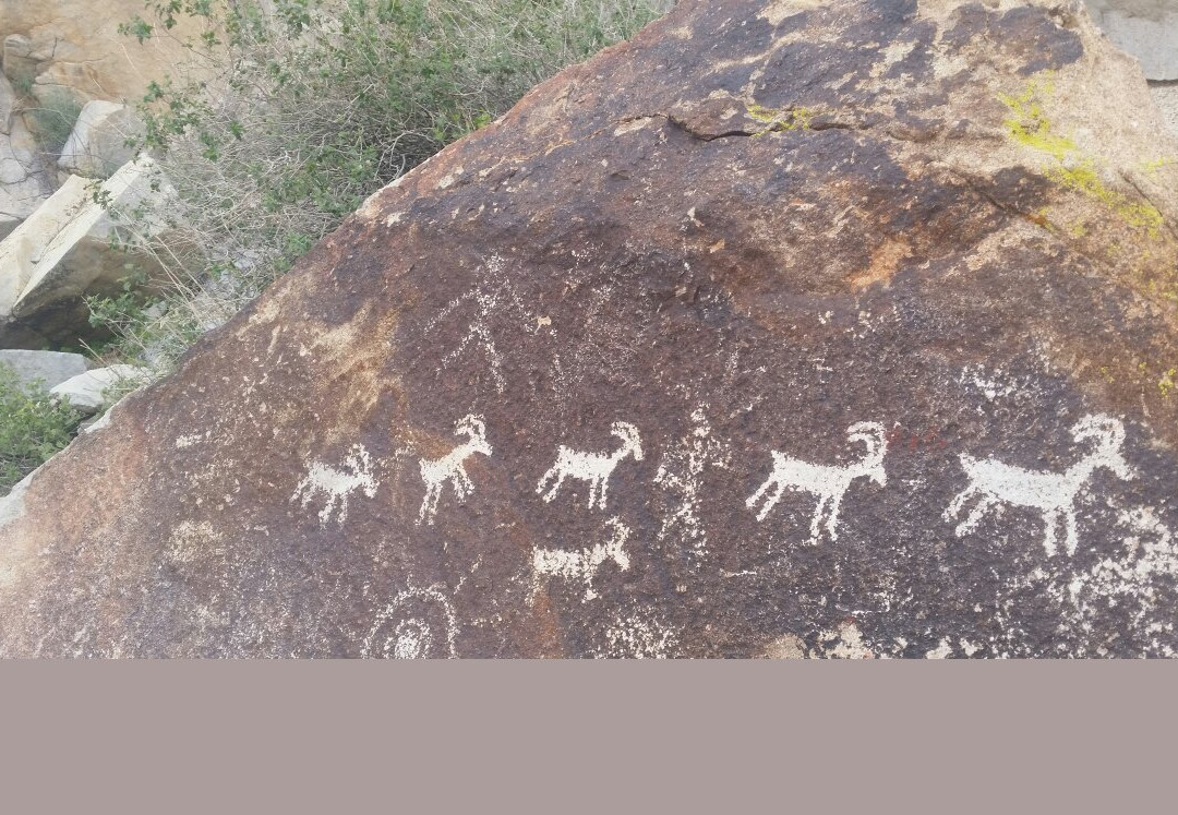 Grapevine Canyon-拉芙琳必去景点