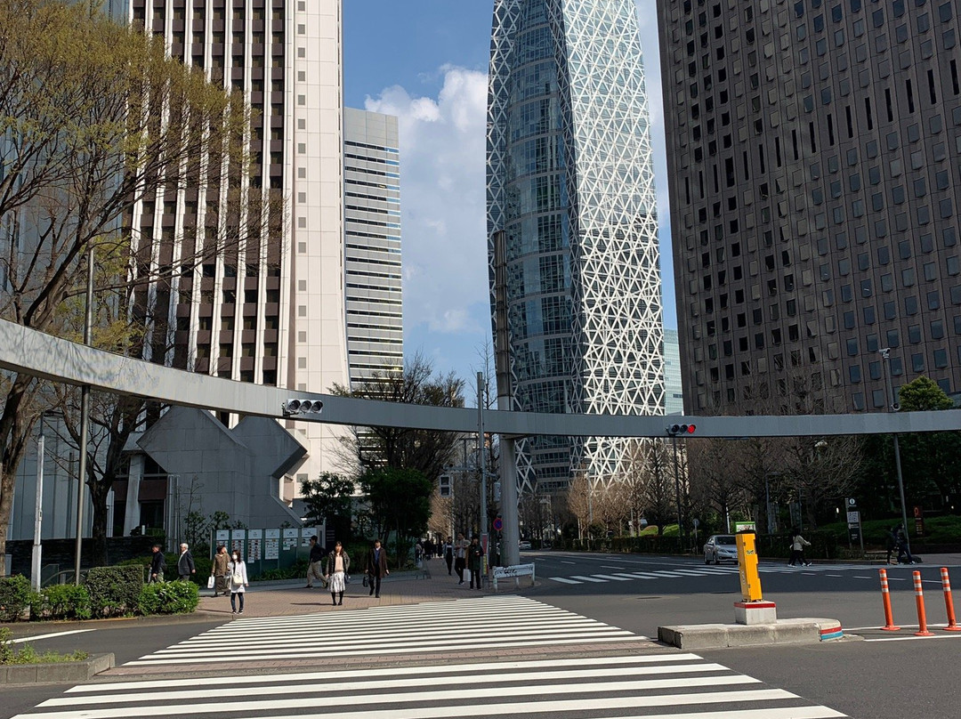Shinjuku I Land景点图片