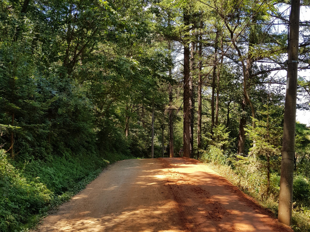 Gyejoksan Mountain Red Clay Trail-大田必去景点