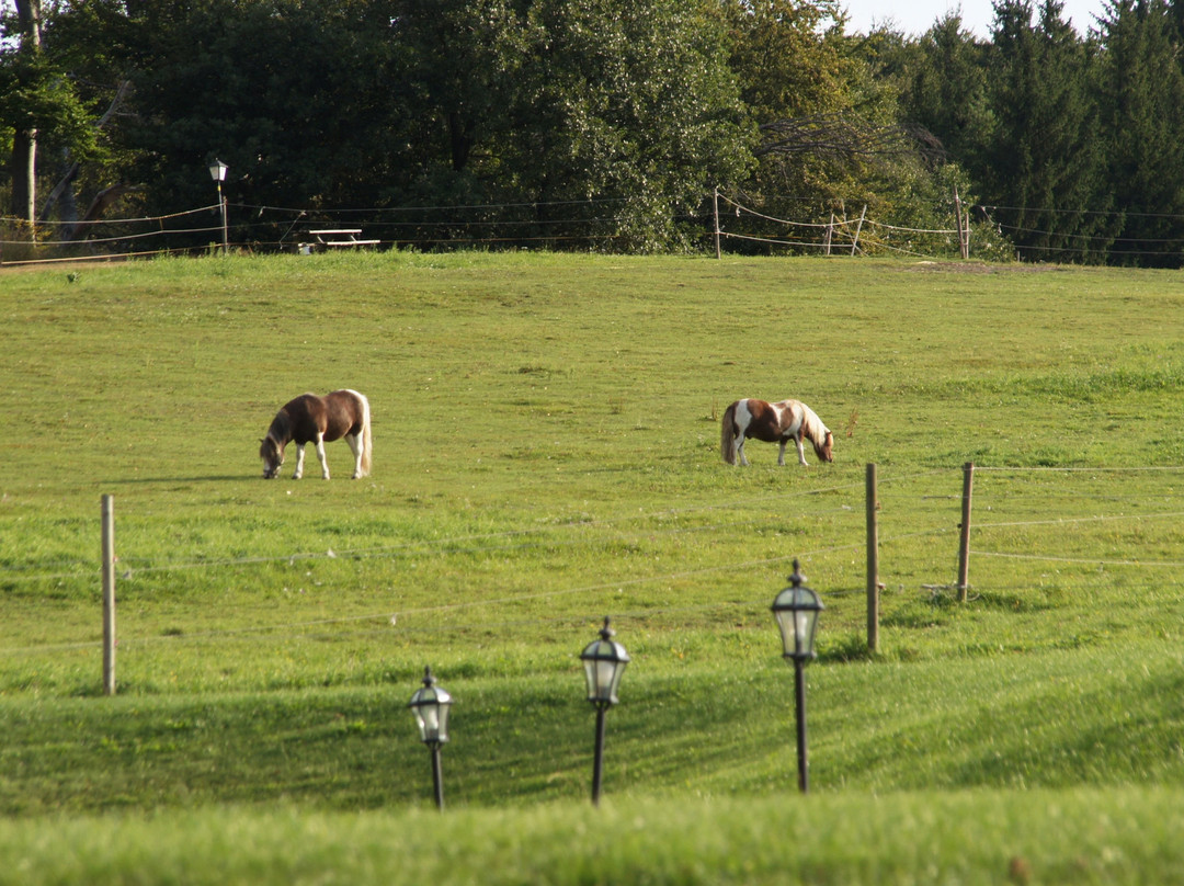 Biosphärenpark Wienerwald-Tullnerbach必去景点