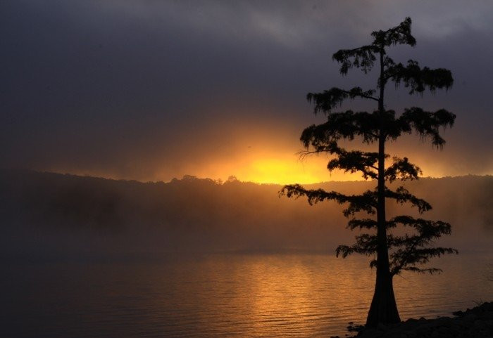 Sequoyah Bay State Park景点图片