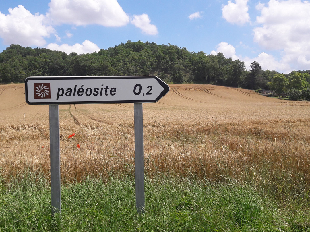 Sentier Paleontologique de Sansan景点图片