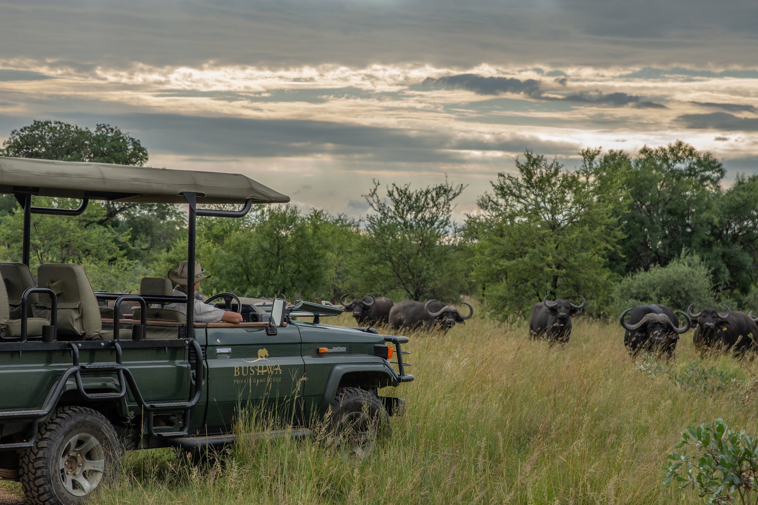 Bushwa Private Game Lodge-官方