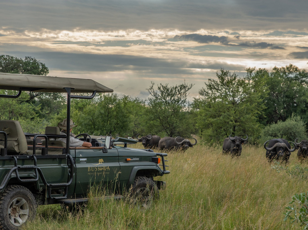 Bushwa Private Game Lodge主图