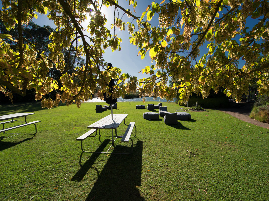 Balnaves of Coonawarra-Coonawarra必去景点