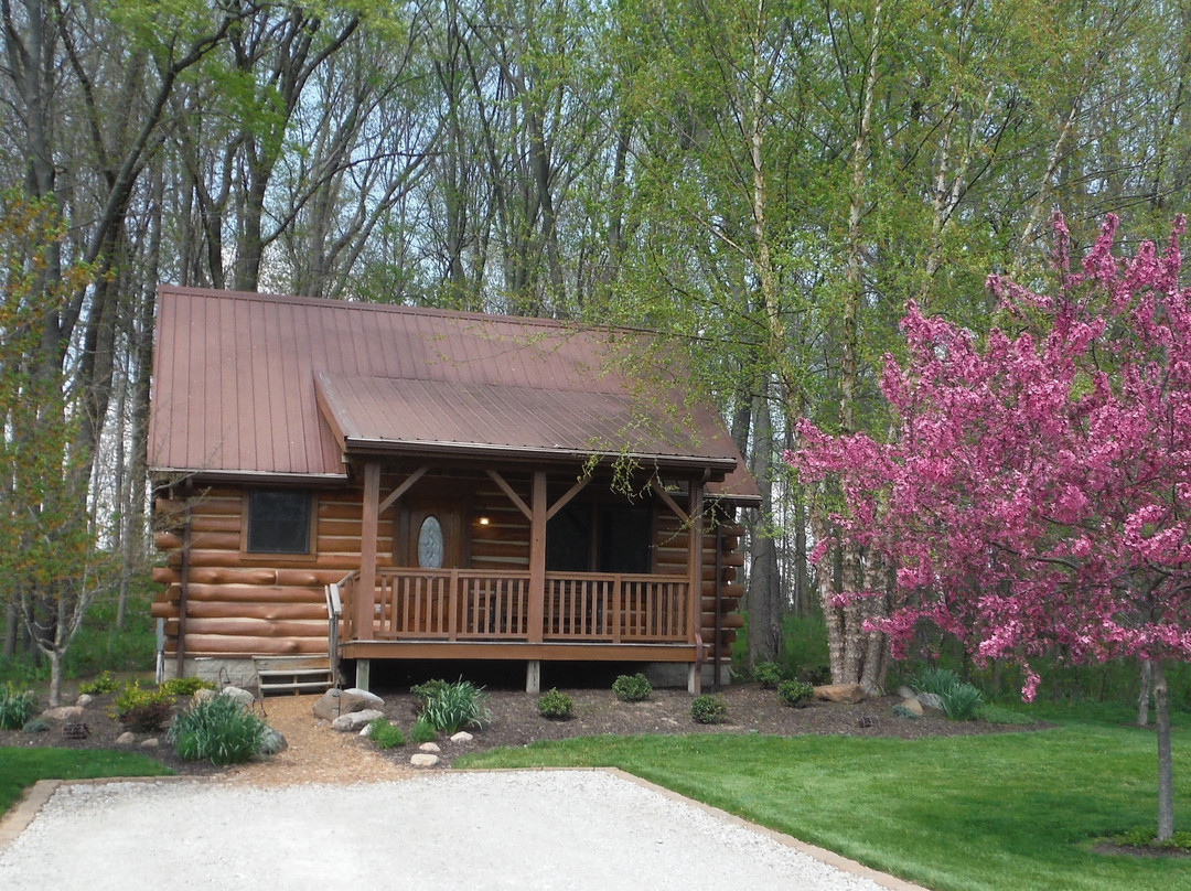 Cabins & Candlelight主图