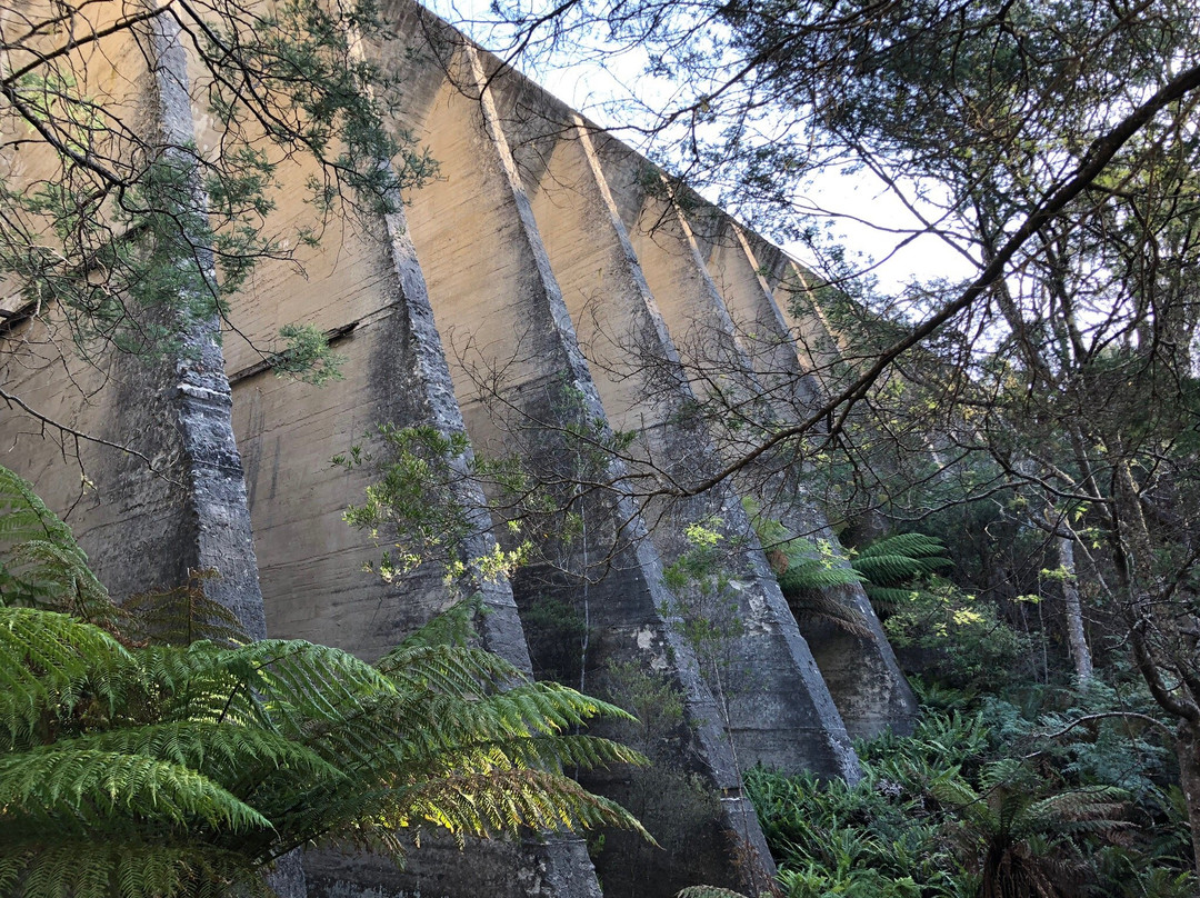 Mt Paris Dam-Branxholm必去景点