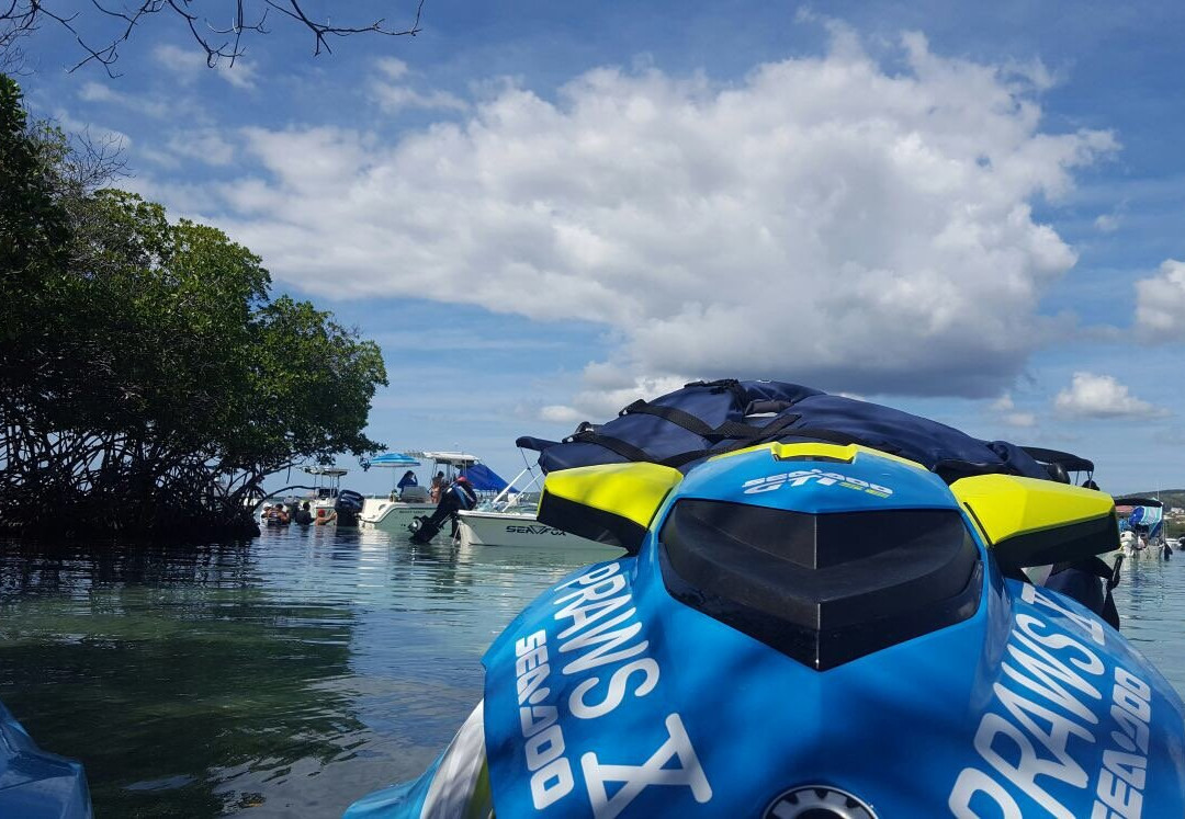 Puerto Rico Adventure Water Sports-Boqueron必去景点