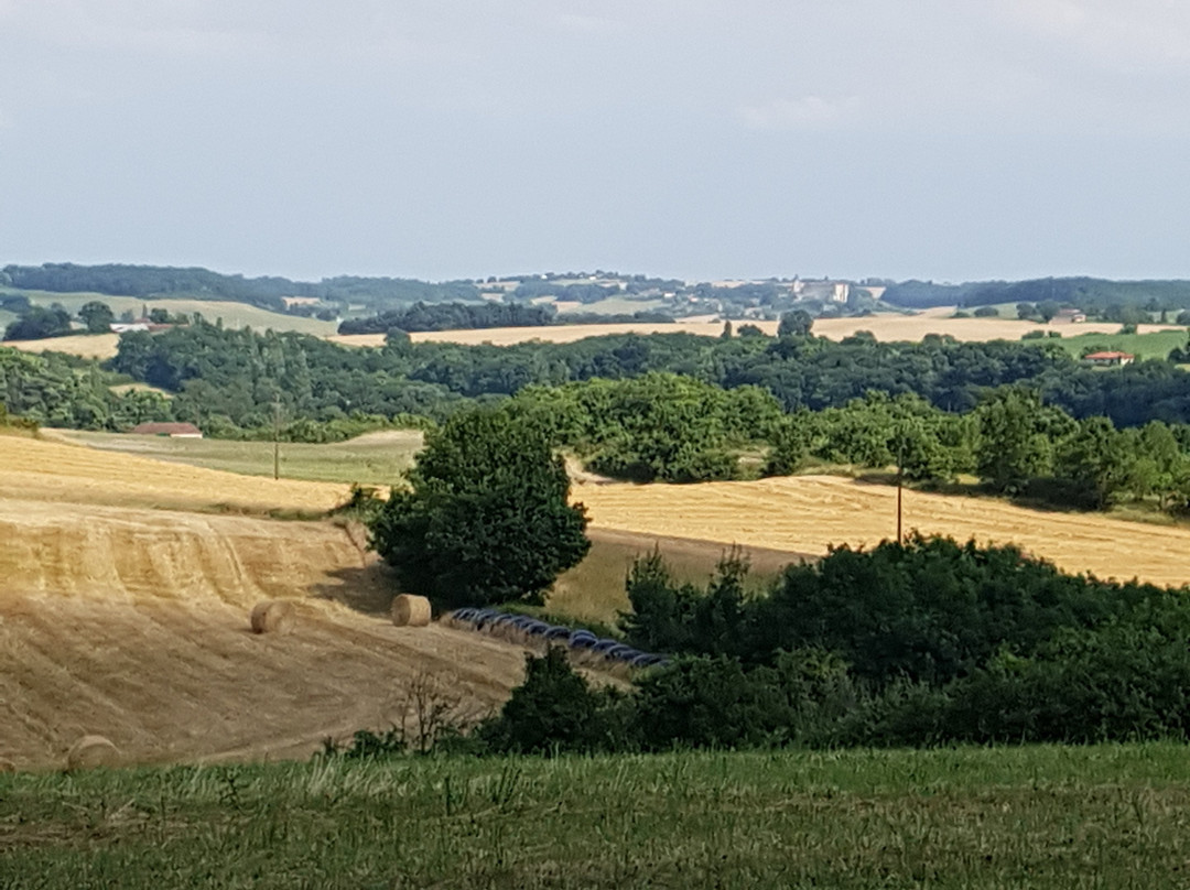 Domaine de Sonnard主图