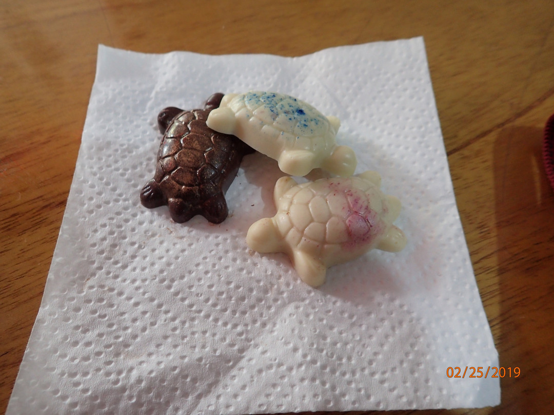 Chocolapagos Darwin's Favourites-阿约拉港必去景点