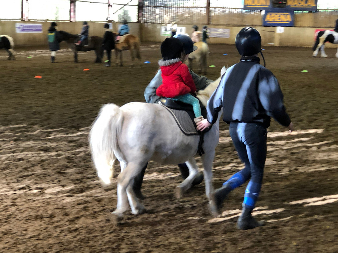 Mount Mascal Stables-伦敦必去景点