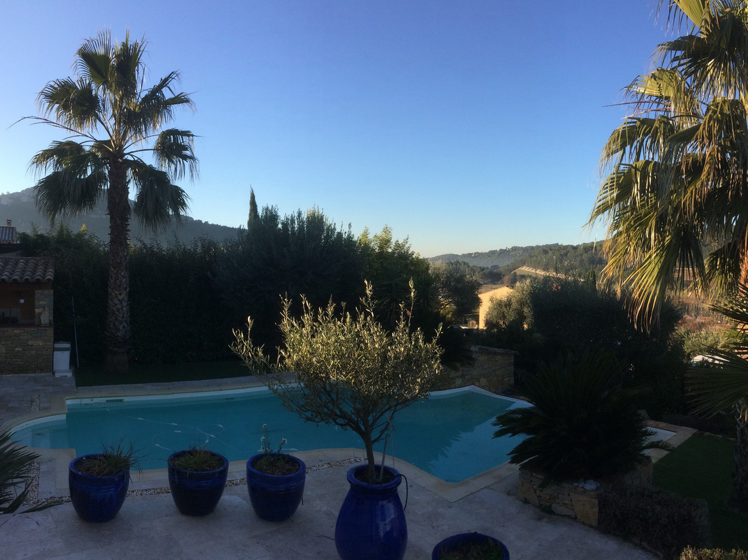 La Cigale sous l'Olivier主图