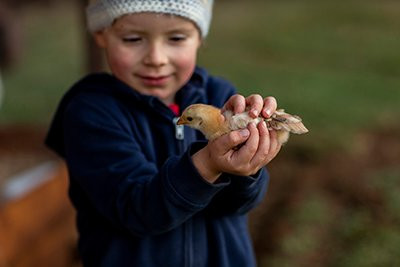 Oak Ridge Guest House主图