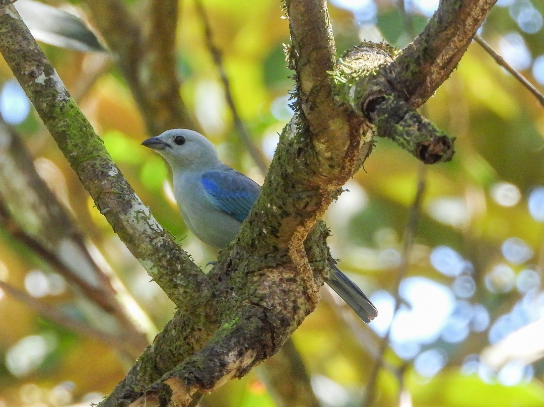 Hotel Mamma e Papa主图