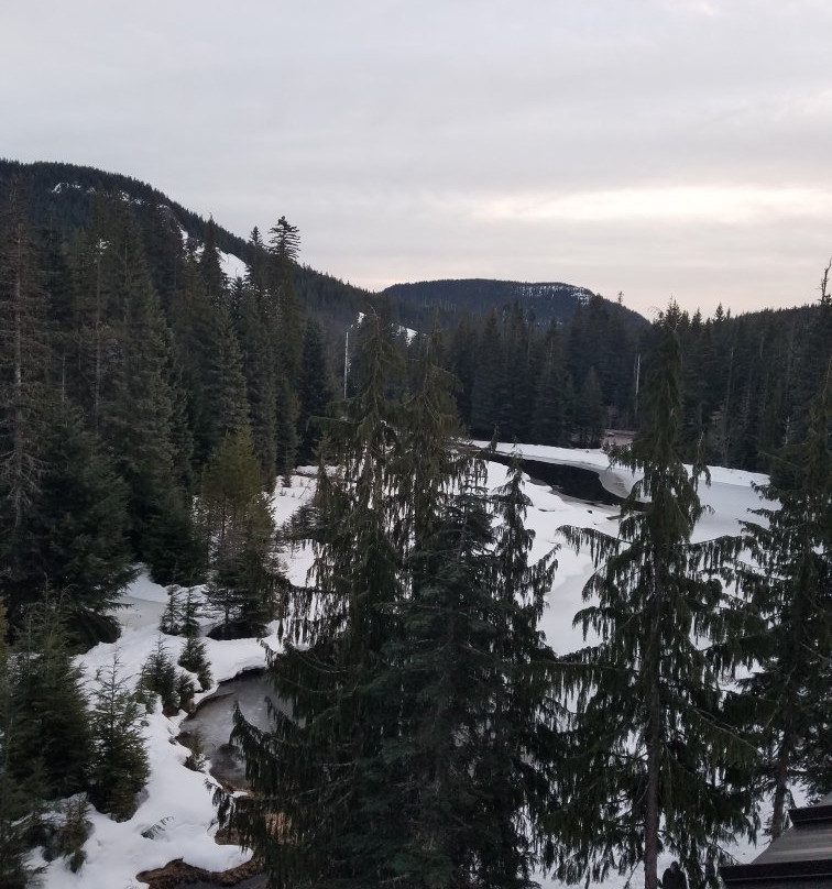 Collins Lake Resort主图