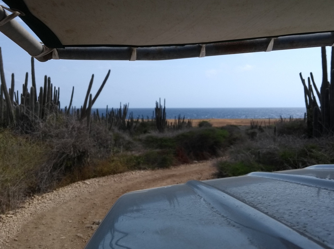 Blue Angel Tours-Sint Willibrordus必去景点