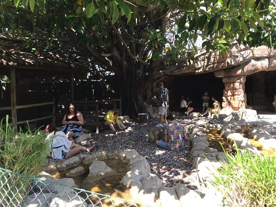 Scratch Patch & Mineral World-西门镇必去景点