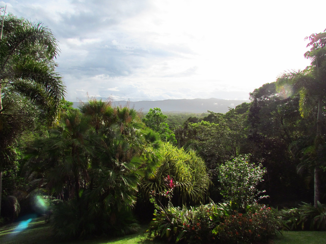 Daintree Manor B&B主图