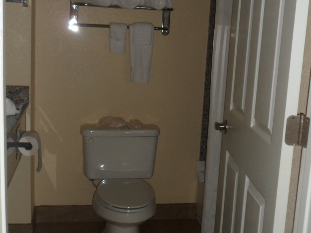 贝斯特韦斯特普勒斯舍伍德旅馆及套房酒店主图