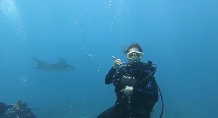Manta Point Dive Site-努沙杜瓦必去景点