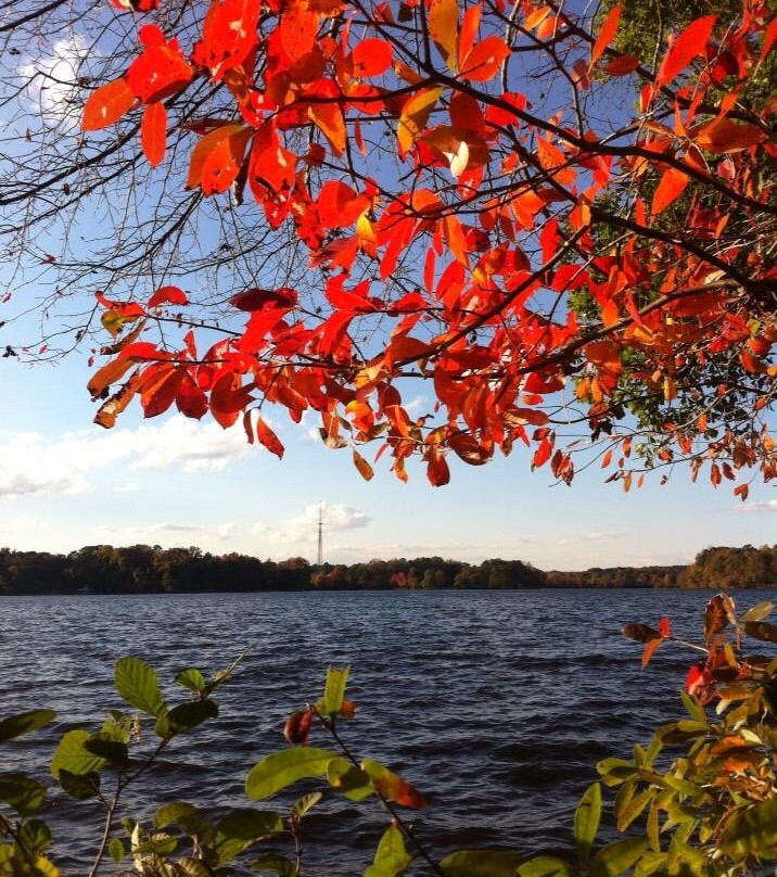 Golf Cart Paths-桃树市必去景点