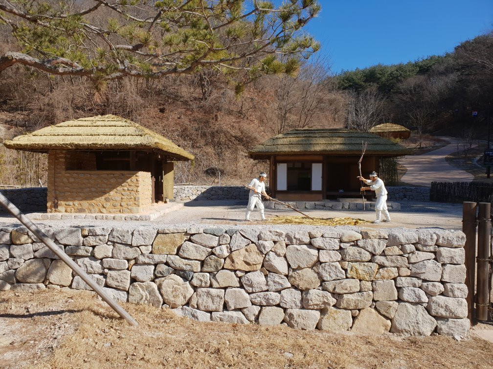 Janggi Yubae Munhwa Cheheomchon-浦项市必去景点