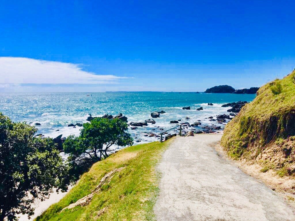 Mount Maunganui Base Track景点图片