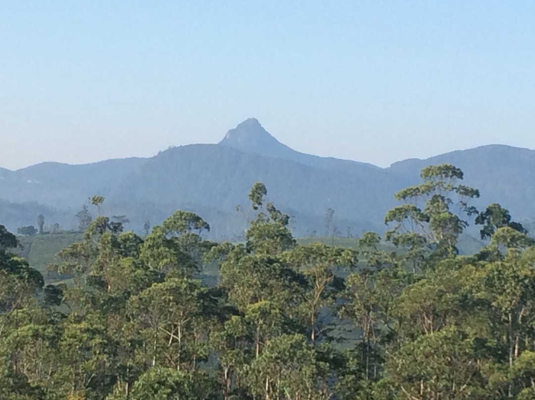 Daynish Rock Bungalow主图