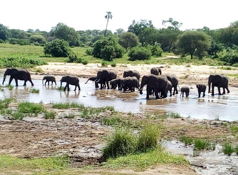 Kim'zebra Adventures and Safaris Limited-阿鲁沙必去景点