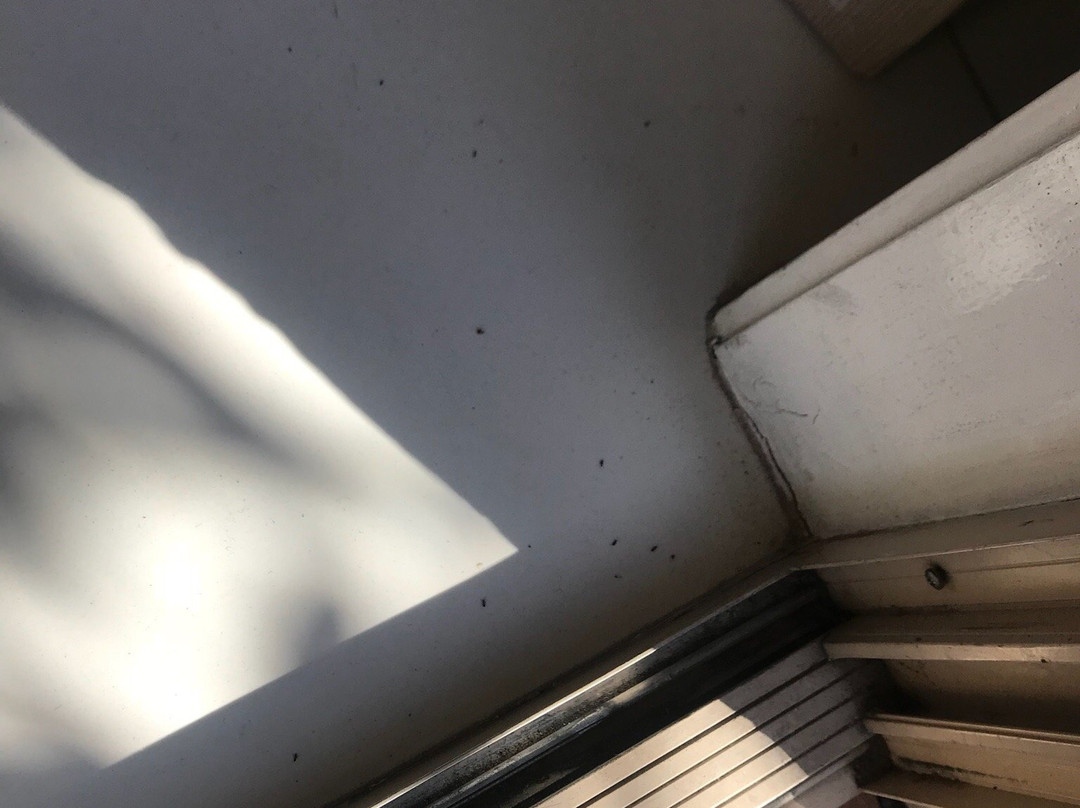 拜伦中央公寓主图