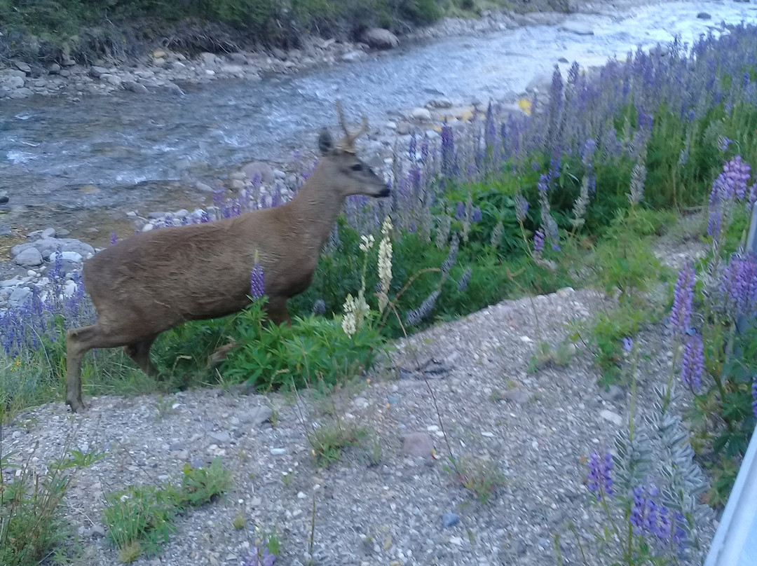 Eclipse Patagonia Tour-Puerto Aisen必去景点