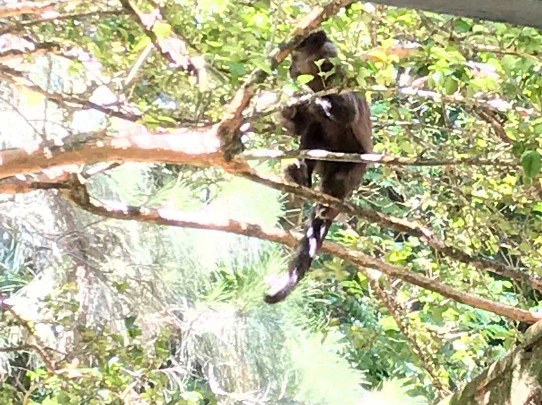 Presepio Do Piripipau-贝洛哈里桑塔必去景点