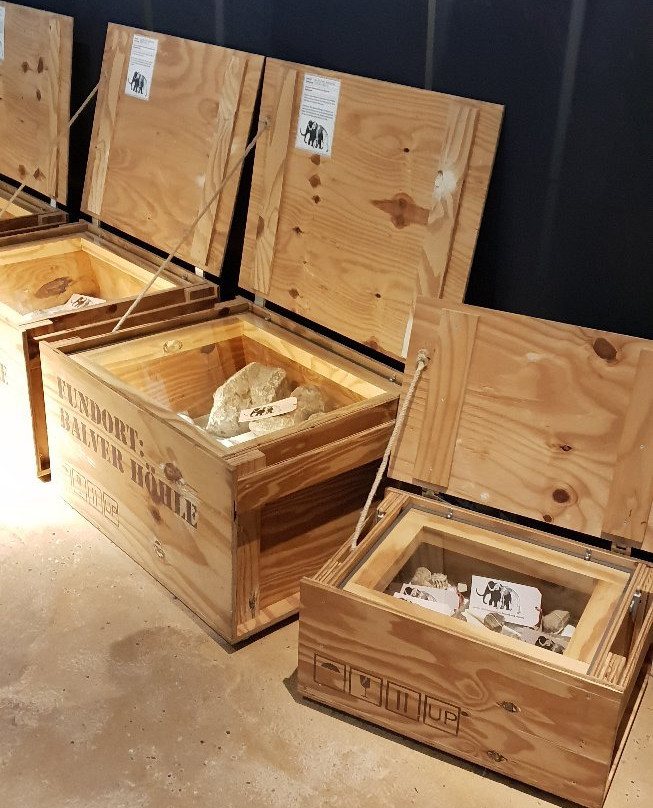 LWL-Museum für Archäologie Westfälisches Landesmuseum景点图片