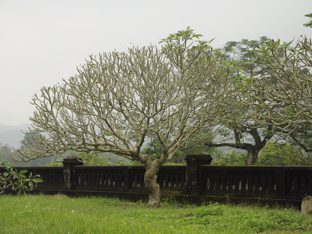 The Mieu Temple-顺化必去景点