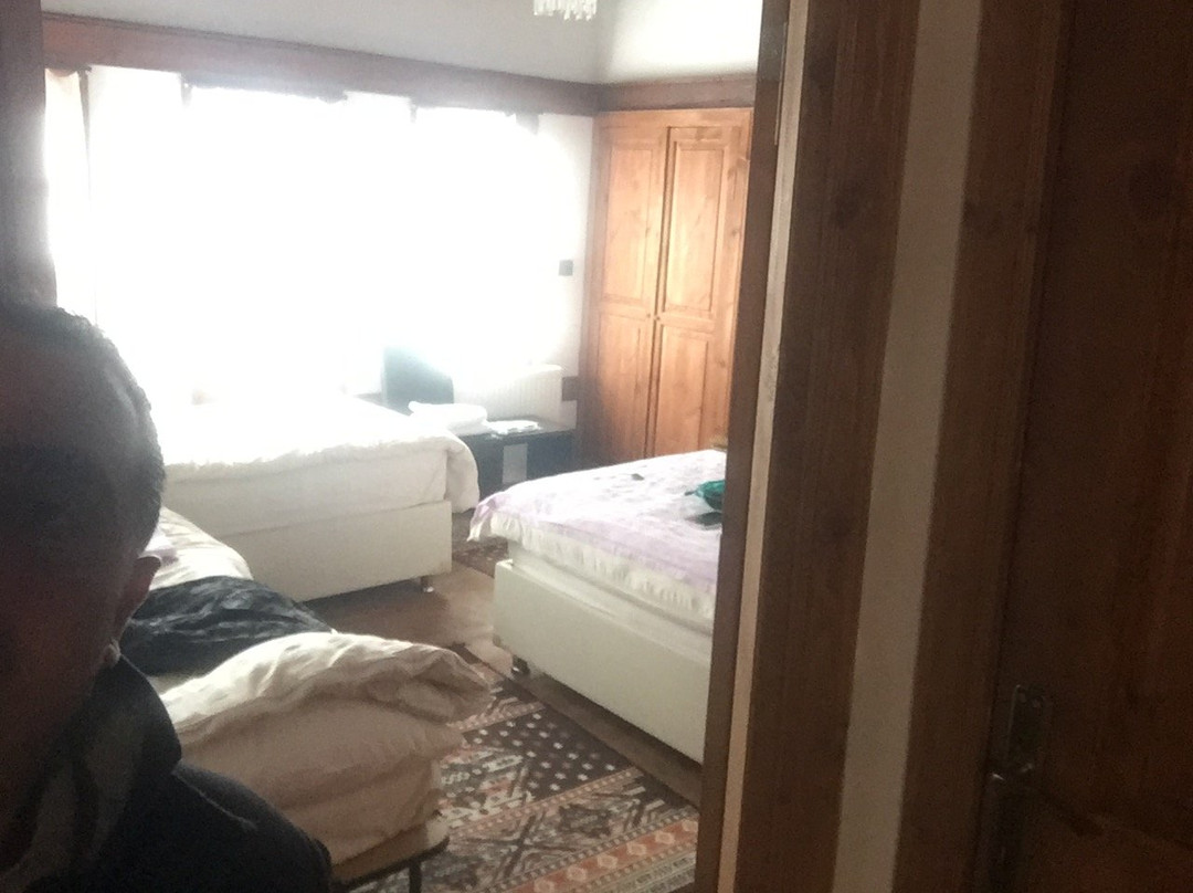 Melek Hanim Konagi主图