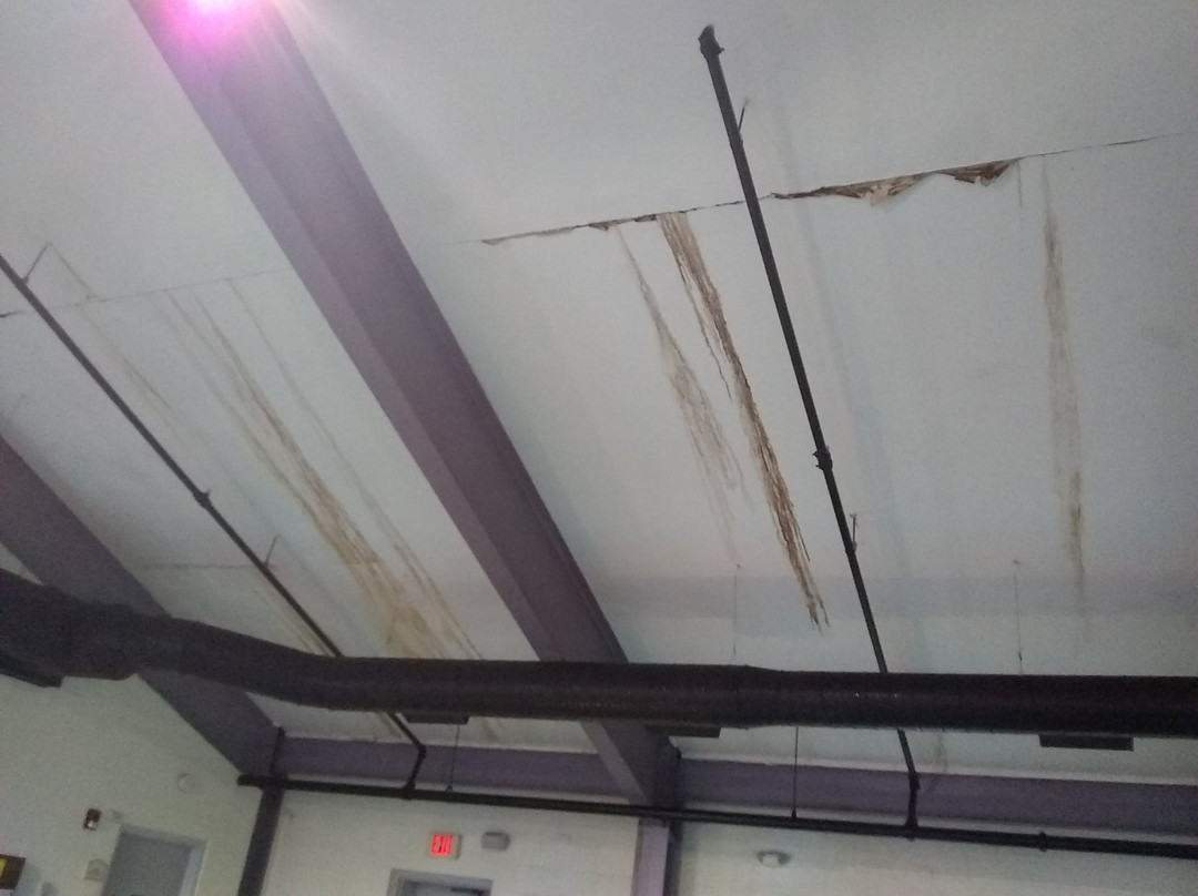 Host Inn All Suites Hotel主图