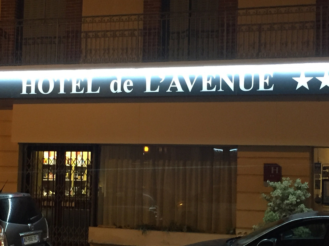 Hôtel de l'Avenue主图